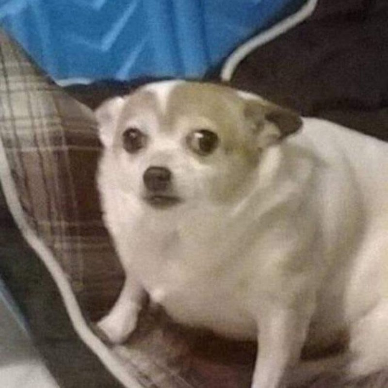 Все что я умею это дышать