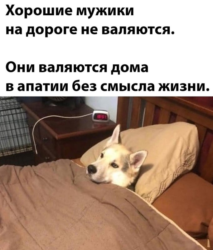 Попытаюсь уснуть
