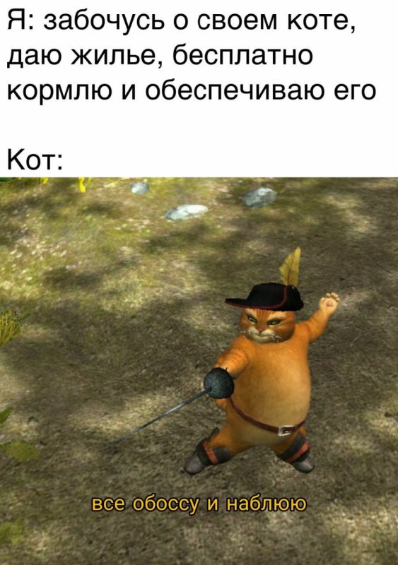 Кот в сапогах толстый