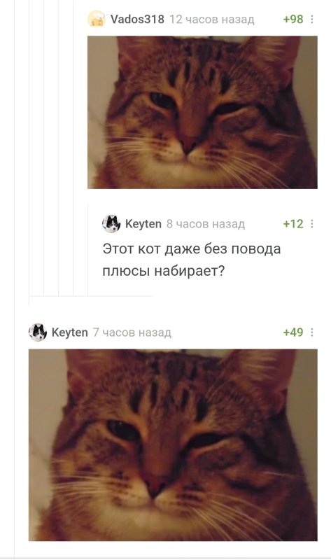 Улыбающийся кот пикабу