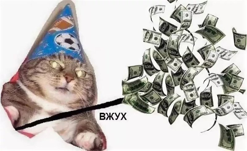 Кот с деньгами