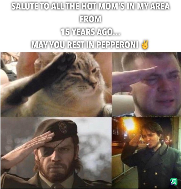 Кот плачет и отдает честь