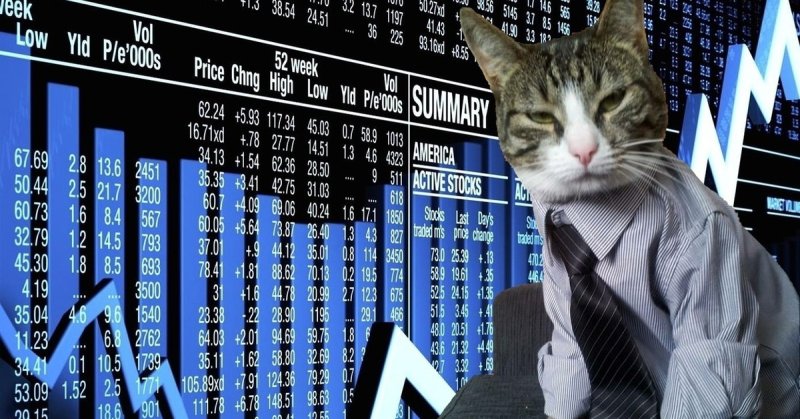Котик на бирже