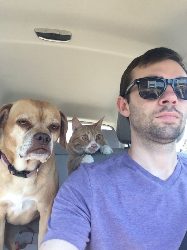 Селфи людей