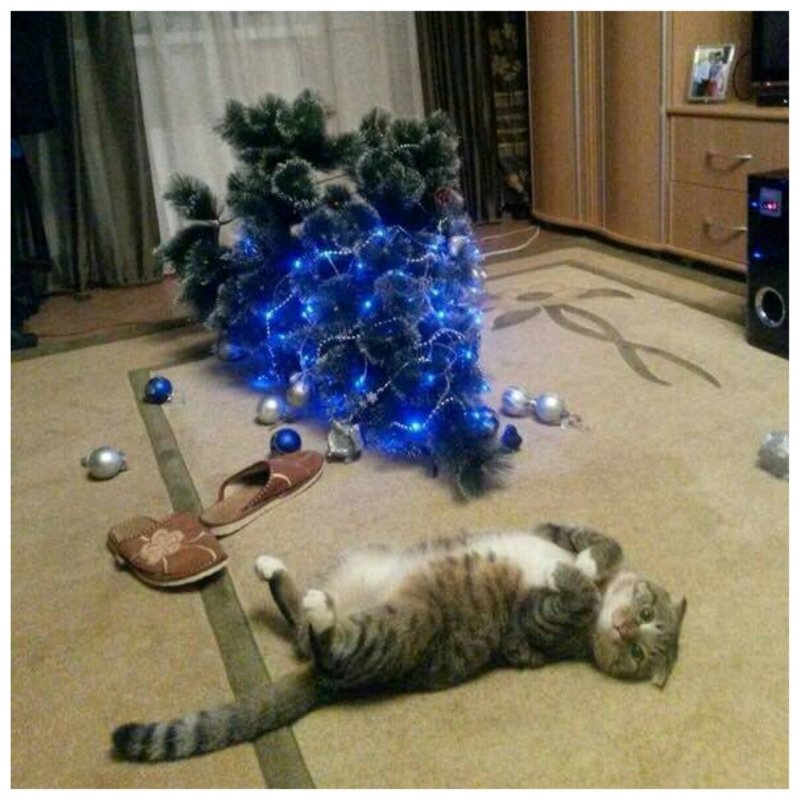 Кот завалил елку