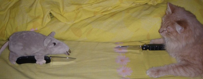 Кот с ножом Мем