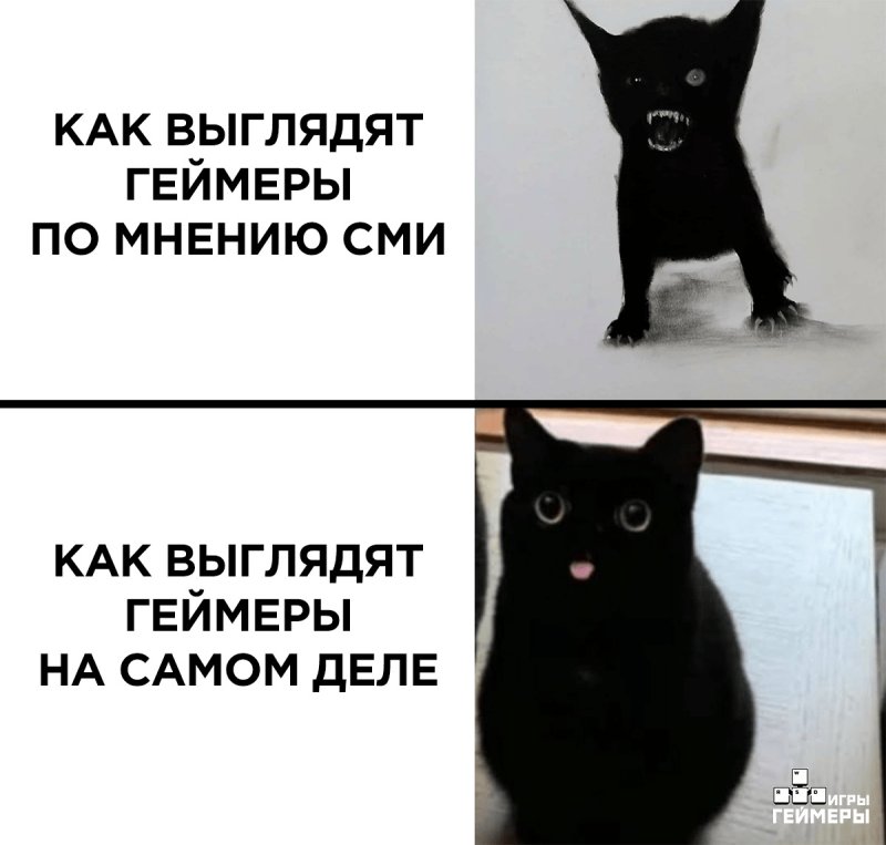 Кот Мем с надписью