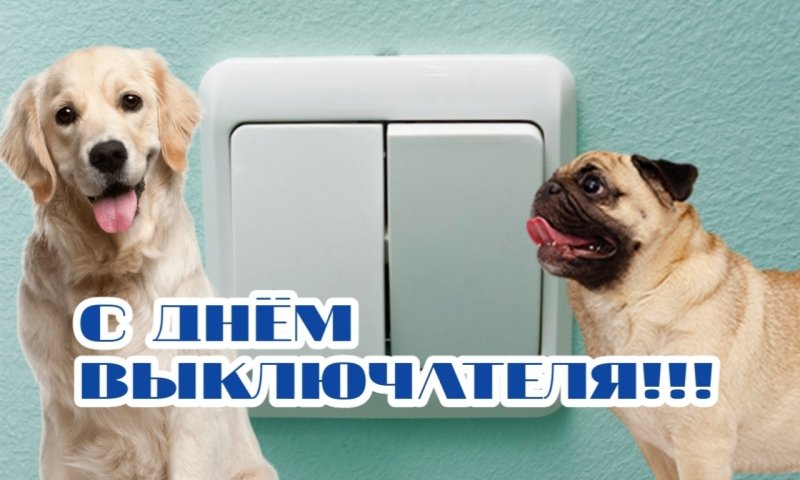 С днём дня Мем с собакой