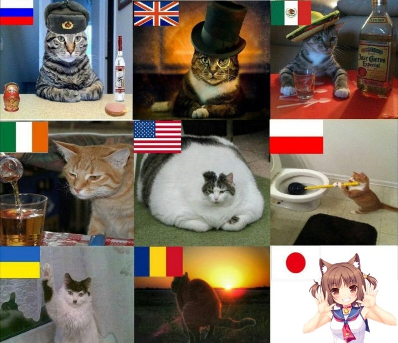 Коты из разных стран