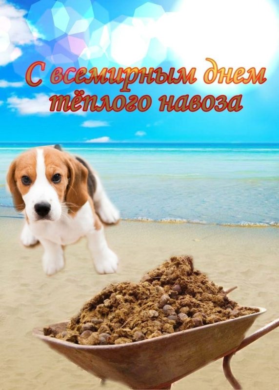 С днем поноса