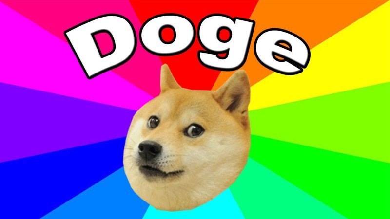 Doge собака