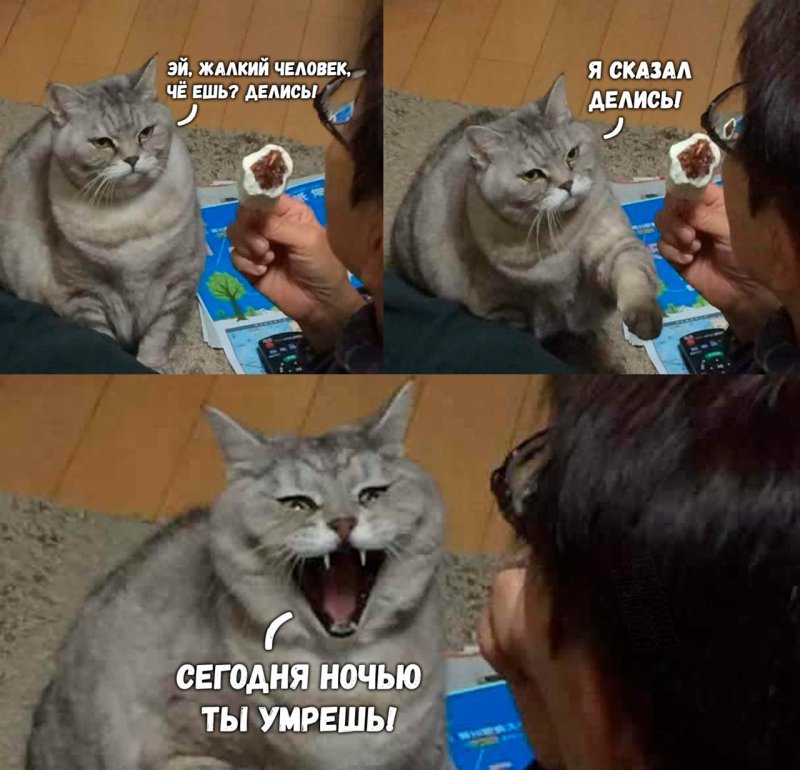 Жалкий человек