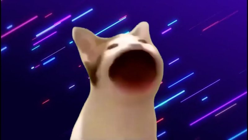 А кот с открытым ртом