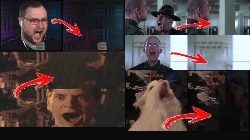 Мем кот кричит и исчезает