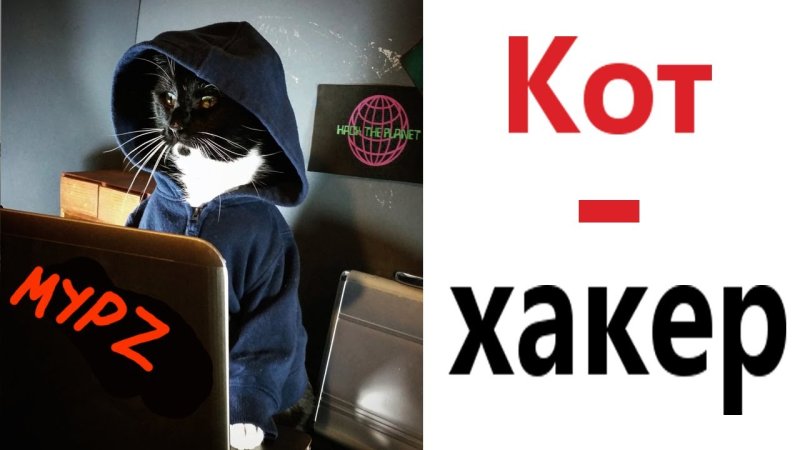 Котик хакер Мем
