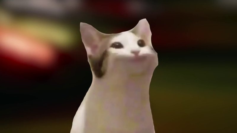 Кот широко открывает рот Мем