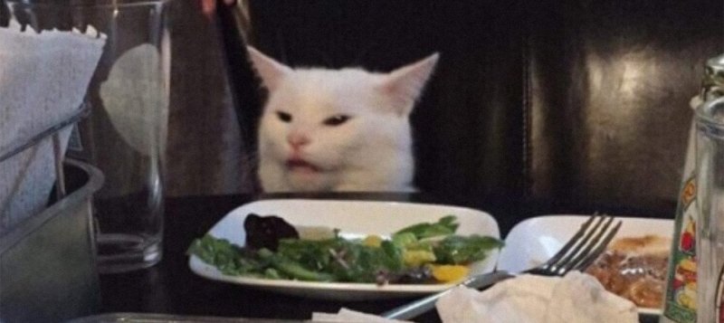 Ава с котом за столом