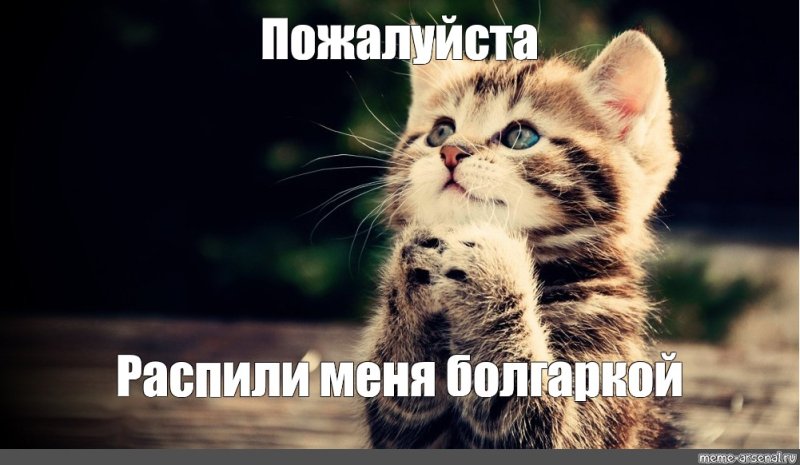 Умоляю Мем