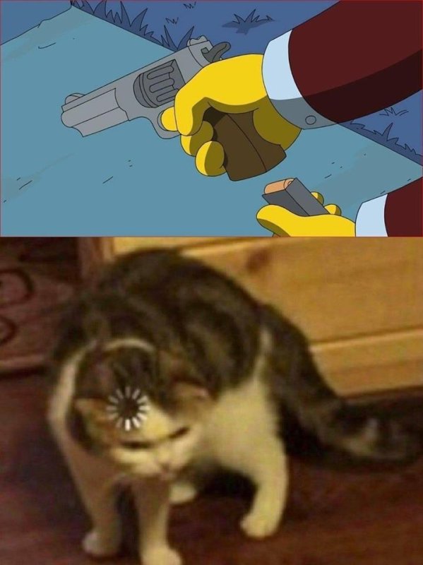 Котик загрузка