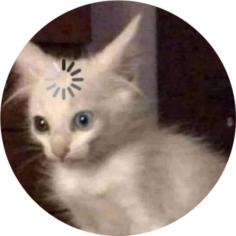 Кот загрузка