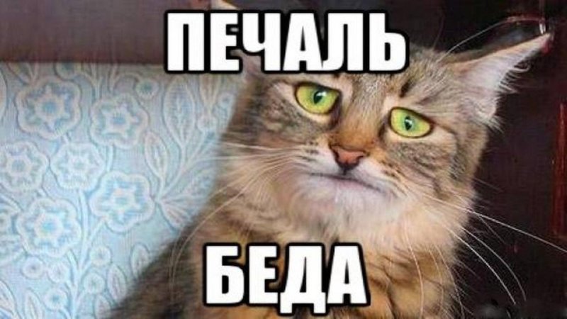 Смешные подписи к фото