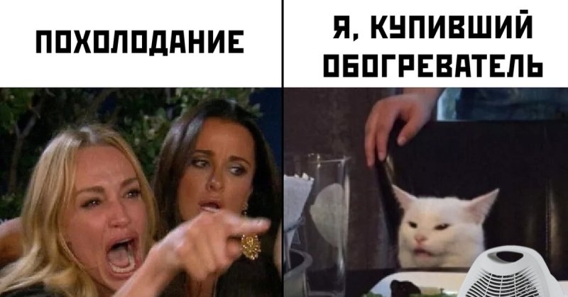 Сём с котом и девушками