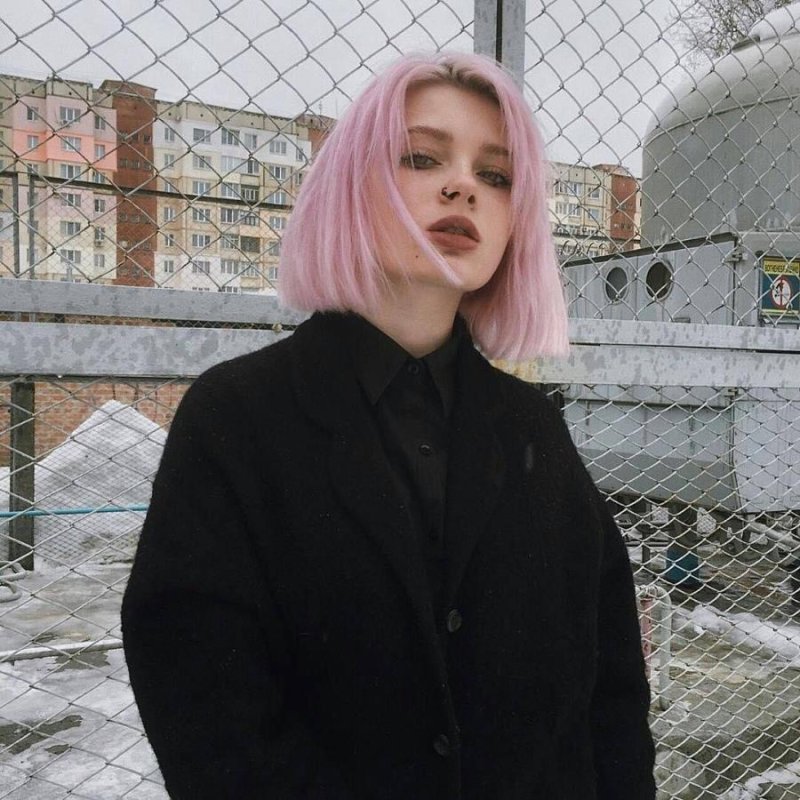 Винишко тян 2017