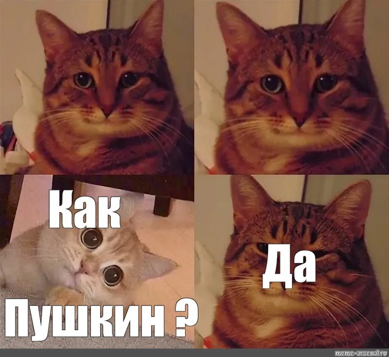Мемы с котиками