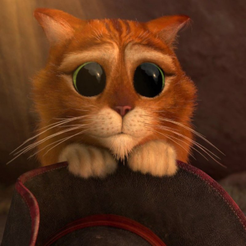 Кот в сапогах Шрек глаза