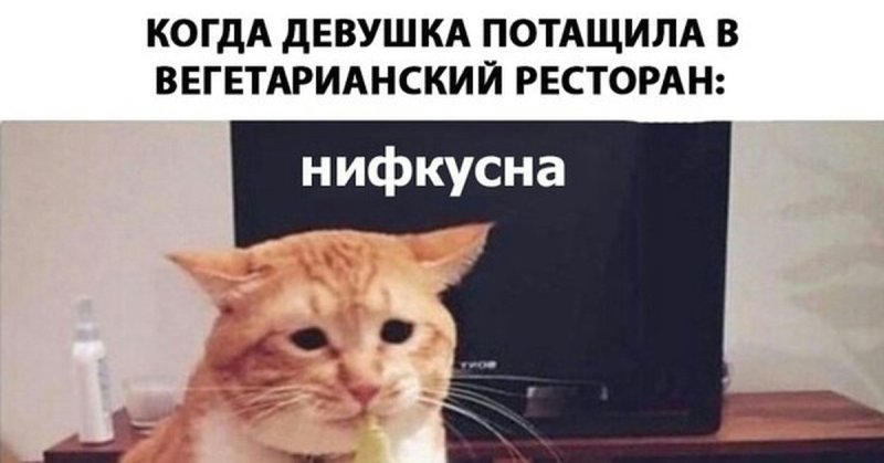Невкусно кот