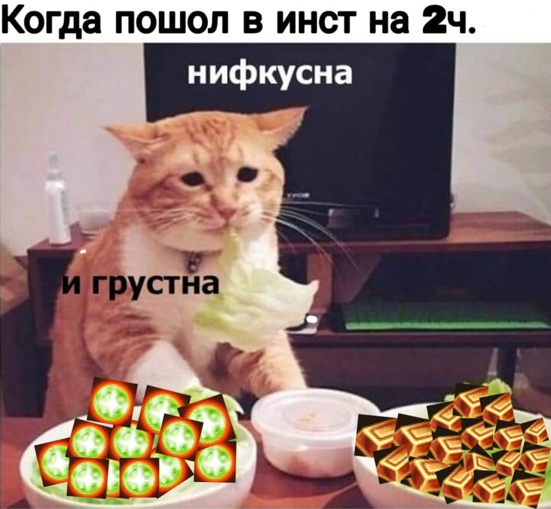Невкусно и грустно кот