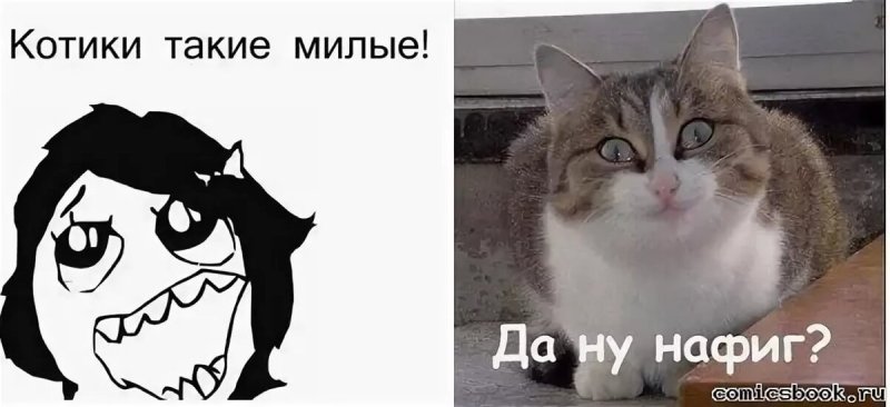 Мемы с надписями