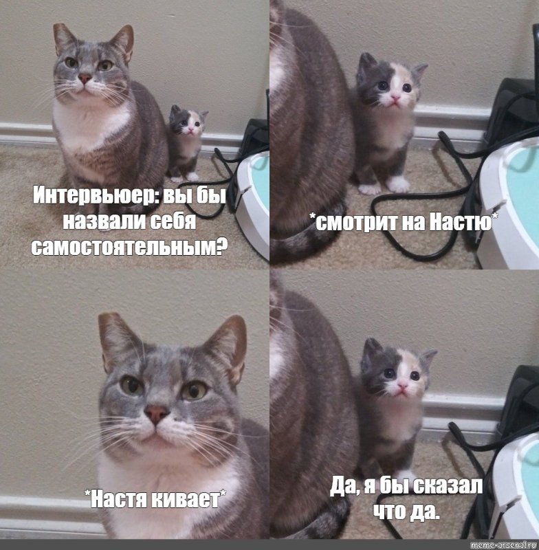 Мама кошка и котенок Мем