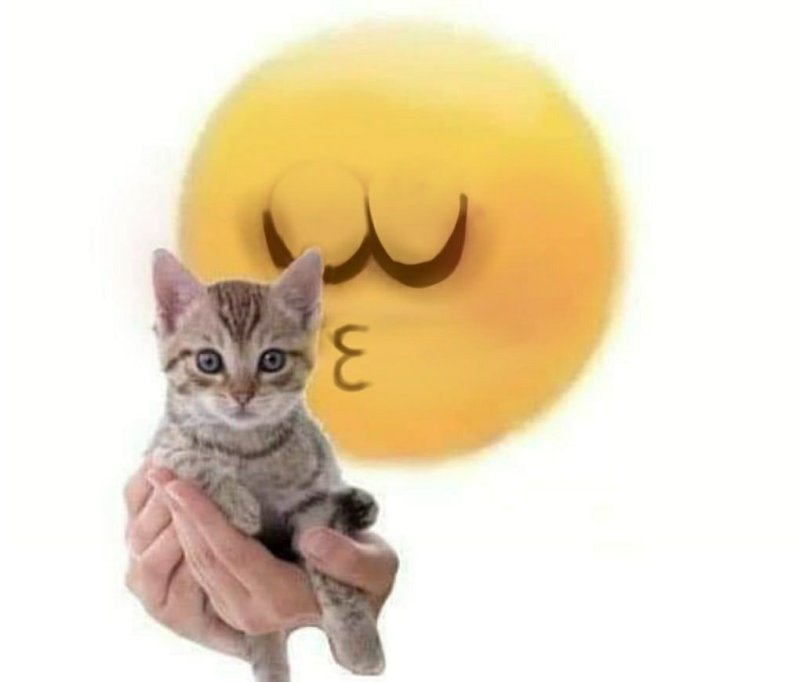 Смайл с котенком в руках