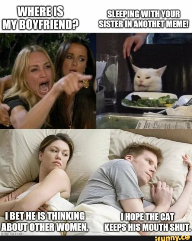 Мем с котом и дв мя девушками