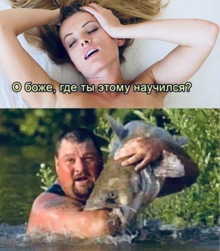 Юмор приколы