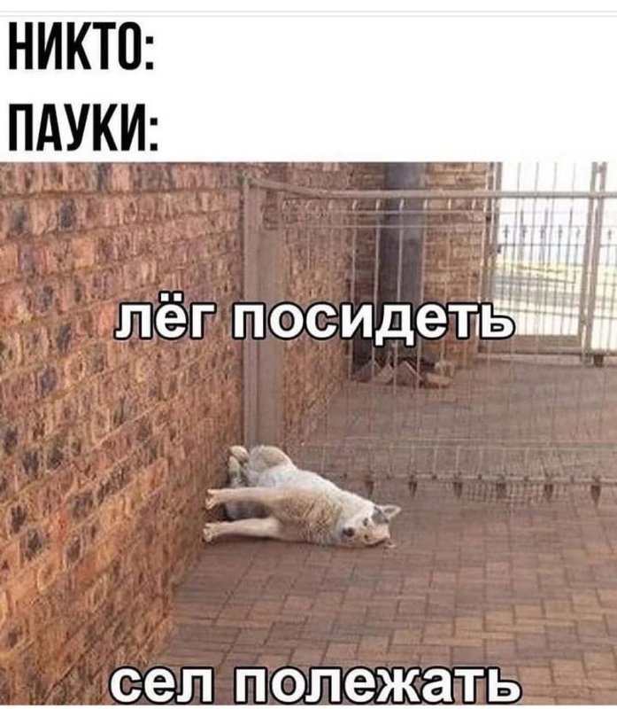 Лег посидеть сел полежать