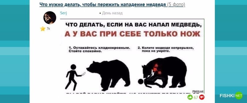 Что нужно делать при встрече с медведем