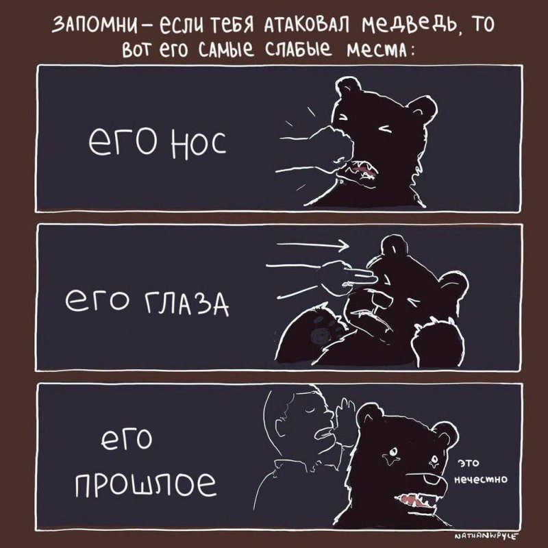 Что делать если напал медведь
