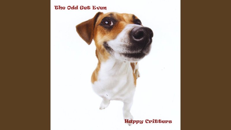 Собака Джек Рассел терьер с кегой