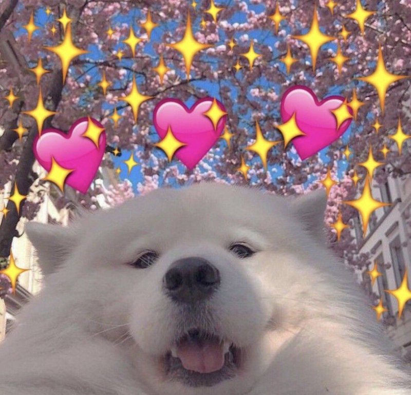 Милая собака с сердечками