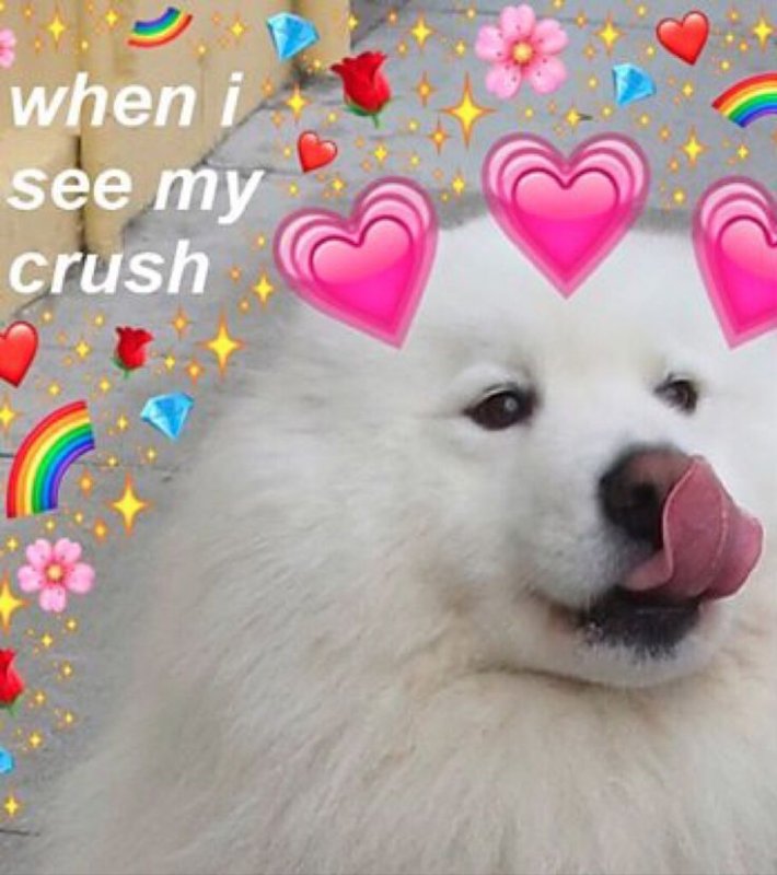 Милые надписи с собачками и сердечкам