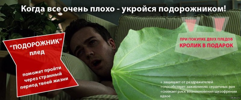 Приложить подорожник