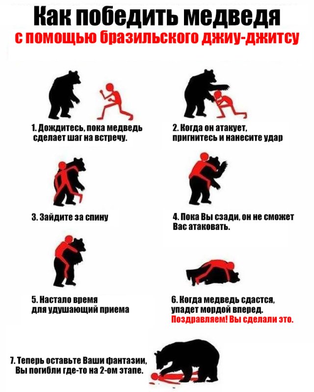 Что делать если встретил медведя