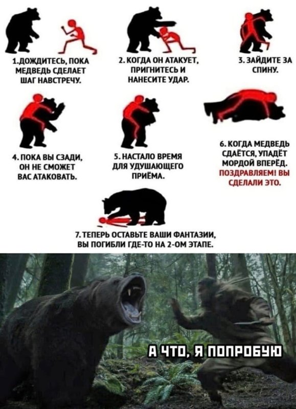 Медведь что делает