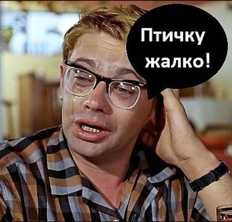 Птичку жалко фото