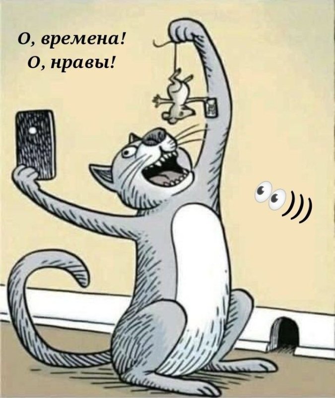 Кошка карикатура