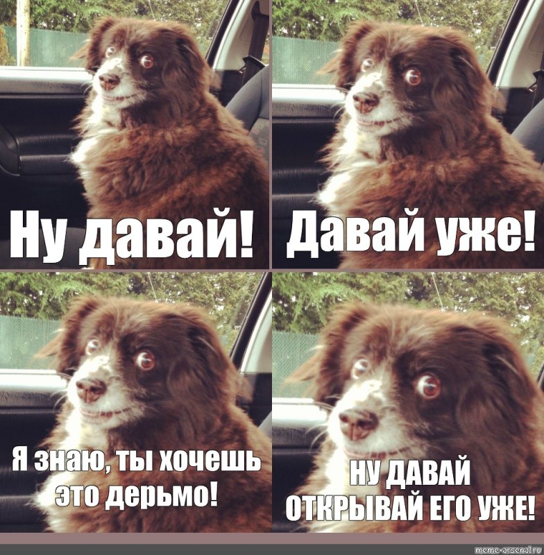 Отец не хочет заводить собаку