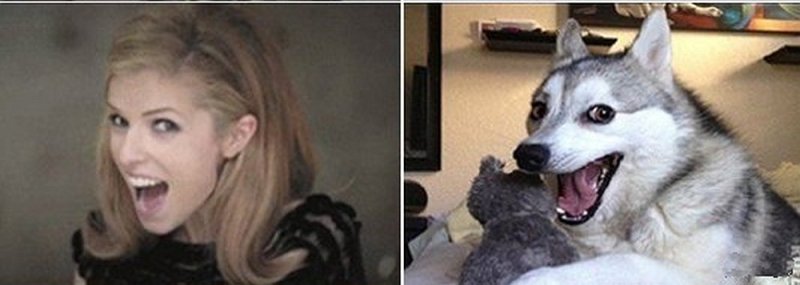 Анна Кендрик Мем