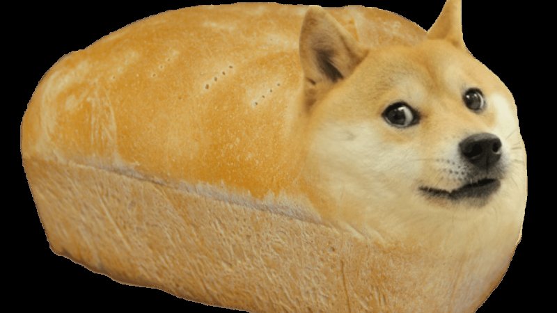 Сиба ину доги Мем